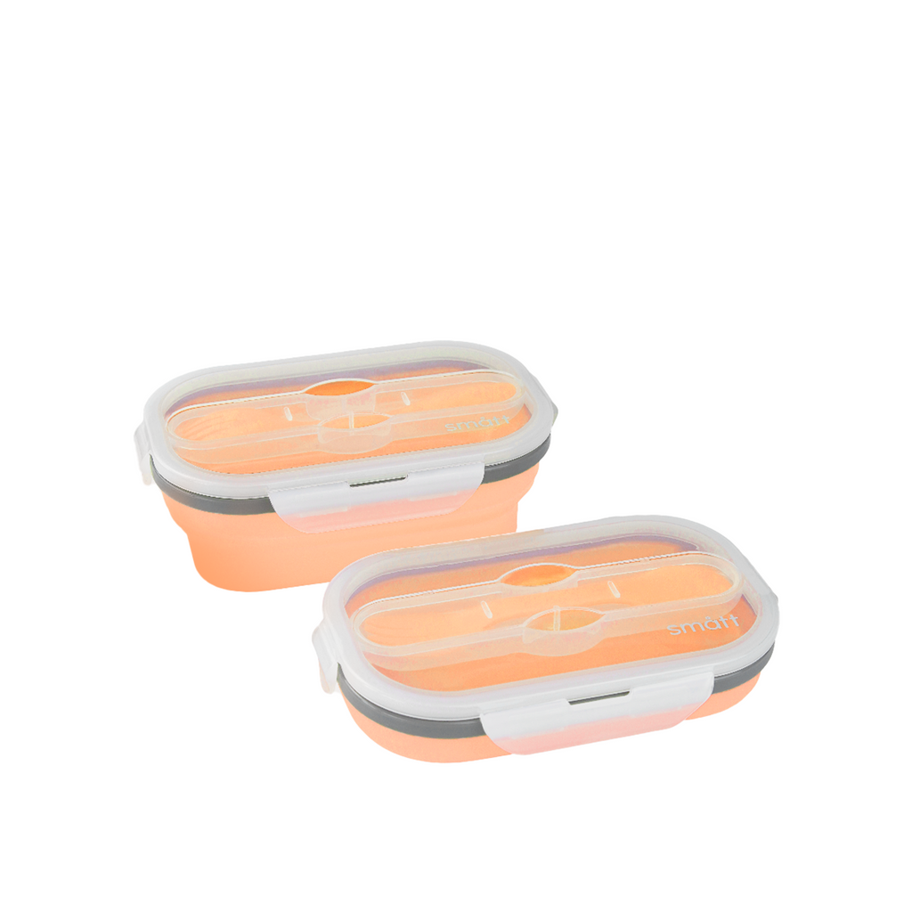 Foldable Lunch Box
